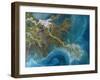 Mississippi Delta, Satellite Image-PLANETOBSERVER-Framed Photographic Print