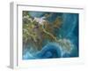 Mississippi Delta, Satellite Image-PLANETOBSERVER-Framed Photographic Print