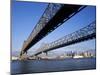 Mississippi River Bridge, New Orleans, Louisiana, USA-null-Mounted Photographic Print