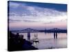 Mississippi River in Natchez, Mississippi-Carol Highsmith-Stretched Canvas