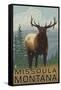 Missoula, Montana - Elk Scene-Lantern Press-Framed Stretched Canvas