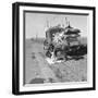 Missouri family after the drought near Tracy, California, 1937-Dorothea Lange-Framed Photographic Print