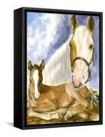 Missouri Fox Trotter-Barbara Keith-Framed Stretched Canvas