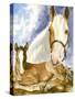 Missouri Fox Trotter-Barbara Keith-Stretched Canvas