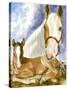 Missouri Fox Trotter-Barbara Keith-Stretched Canvas