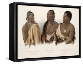 Missouri Indian, Oto Indian, Chief of the Puncas-Karl Bodmer-Framed Stretched Canvas