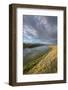 Missouri River near Judith Landing, Upper Missouri River Breaks National Monument, Montana.-Alan Majchrowicz-Framed Photographic Print