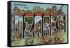 Missouri - The Ozarks-Lantern Press-Framed Stretched Canvas