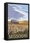 Missouri - Wheat Fields and Homestead-Lantern Press-Framed Stretched Canvas