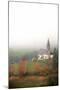 Mist and colourful trees surround the alpine church in the fall, St. Magdalena, Funes Valley, South-Roberto Moiola-Mounted Photographic Print