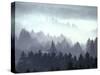 Mist and Fog Shrouded Countryside of the Northern Ardennes Forest, During the Battle of the Bulge-George Silk-Stretched Canvas