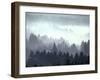 Mist and Fog Shrouded Countryside of the Northern Ardennes Forest, During the Battle of the Bulge-George Silk-Framed Photographic Print