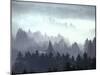 Mist and Fog Shrouded Countryside of the Northern Ardennes Forest, During the Battle of the Bulge-George Silk-Mounted Photographic Print