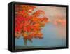 Mist and Forest in Autumn Color, Davis, West Virginia, Usa-Jay O'brien-Framed Stretched Canvas