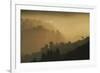 Mist and low sunlight over Dunedin Botanic Garden and Leith Valley, Dunedin, Otago, South Island-David Wall-Framed Photographic Print