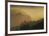 Mist and low sunlight over Dunedin Botanic Garden and Leith Valley, Dunedin, Otago, South Island-David Wall-Framed Photographic Print