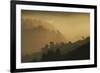 Mist and low sunlight over Dunedin Botanic Garden and Leith Valley, Dunedin, Otago, South Island-David Wall-Framed Photographic Print