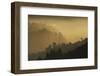 Mist and low sunlight over Dunedin Botanic Garden and Leith Valley, Dunedin, Otago, South Island-David Wall-Framed Photographic Print