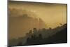 Mist and low sunlight over Dunedin Botanic Garden and Leith Valley, Dunedin, Otago, South Island-David Wall-Mounted Photographic Print