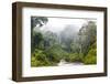 Mist and River Through Tropical Rainforest, Sabah, Borneo, Malaysia-Peter Adams-Framed Photographic Print