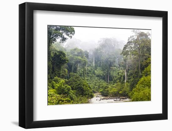 Mist and River Through Tropical Rainforest, Sabah, Borneo, Malaysia-Peter Adams-Framed Photographic Print