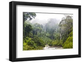 Mist and River Through Tropical Rainforest, Sabah, Borneo, Malaysia-Peter Adams-Framed Photographic Print