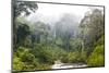 Mist and River Through Tropical Rainforest, Sabah, Borneo, Malaysia-Peter Adams-Mounted Photographic Print
