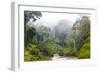 Mist and River Through Tropical Rainforest, Sabah, Borneo, Malaysia-Peter Adams-Framed Photographic Print