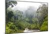 Mist and River Through Tropical Rainforest, Sabah, Borneo, Malaysia-Peter Adams-Mounted Photographic Print