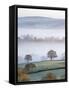 Mist Covered Countryside in the Exe Valley Just North of Exeter, Devon, England. Winter-Adam Burton-Framed Stretched Canvas