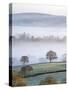 Mist Covered Countryside in the Exe Valley Just North of Exeter, Devon, England. Winter-Adam Burton-Stretched Canvas