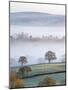 Mist Covered Countryside in the Exe Valley Just North of Exeter, Devon, England. Winter-Adam Burton-Mounted Photographic Print