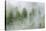 Mist Covered Pine Trees in Great Bear Rainforest, British Columbia, Canada, North America-Michael DeFreitas-Stretched Canvas