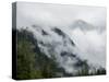 Mist Covering the Pine Trees on the Mountains-abracadabra99-Stretched Canvas