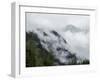 Mist Covering the Pine Trees on the Mountains-abracadabra99-Framed Photographic Print