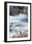 Mist Falls-Brandon Yoshizawa-Framed Photographic Print