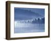 Mist Hiding Trees Above the Little Spokane River Valley-Bob Rowan-Framed Photographic Print