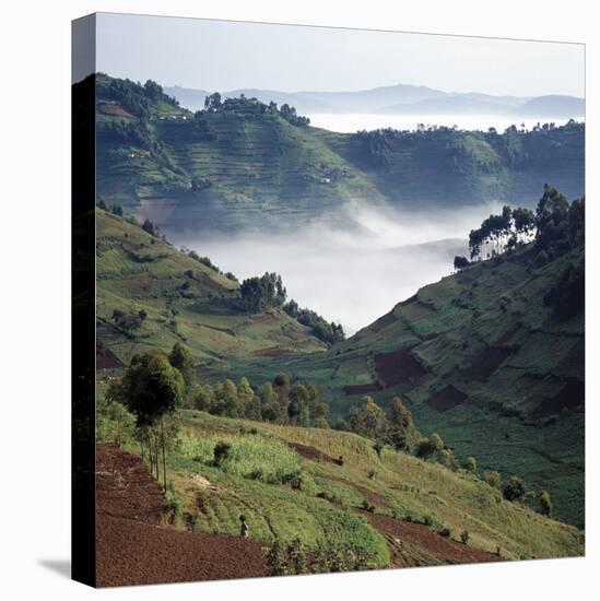 Mist Hugs the Bottom of Valley in Early Morning in Beautiful Hill-Country of Southwest Uganda-Nigel Pavitt-Stretched Canvas