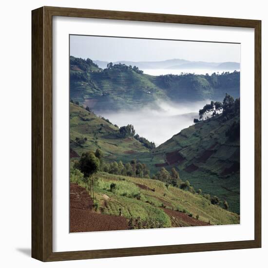 Mist Hugs the Bottom of Valley in Early Morning in Beautiful Hill-Country of Southwest Uganda-Nigel Pavitt-Framed Photographic Print