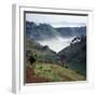 Mist Hugs the Bottom of Valley in Early Morning in Beautiful Hill-Country of Southwest Uganda-Nigel Pavitt-Framed Photographic Print