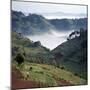 Mist Hugs the Bottom of Valley in Early Morning in Beautiful Hill-Country of Southwest Uganda-Nigel Pavitt-Mounted Photographic Print