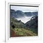 Mist Hugs the Bottom of Valley in Early Morning in Beautiful Hill-Country of Southwest Uganda-Nigel Pavitt-Framed Photographic Print