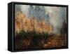 Mist in Fall 56-Pol Ledent-Framed Stretched Canvas