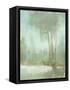 Mist in the Glen II-Tim O'toole-Framed Stretched Canvas