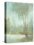 Mist in the Glen II-Tim O'toole-Stretched Canvas