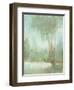 Mist in the Glen II-Tim O'toole-Framed Art Print