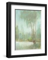 Mist in the Glen II-Tim O'toole-Framed Art Print