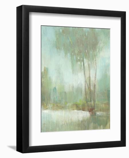 Mist in the Glen II-Tim O'toole-Framed Art Print