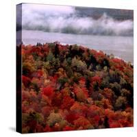 Mist Lingers Over Lobster Lake as Trees Show off Their Splendid Colors During Peak Fall Foliage-null-Stretched Canvas