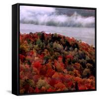 Mist Lingers Over Lobster Lake as Trees Show off Their Splendid Colors During Peak Fall Foliage-null-Framed Stretched Canvas